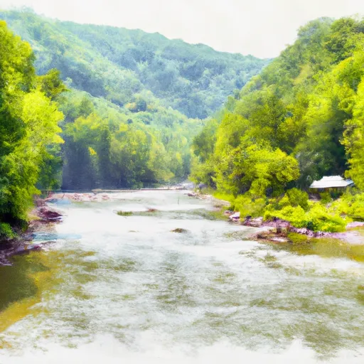  THE U.S. FOREST SERVICE CRANBERRY CAMPGROUND
 TO  THE CONFLUENCE WITH THE GAULEY RIVER